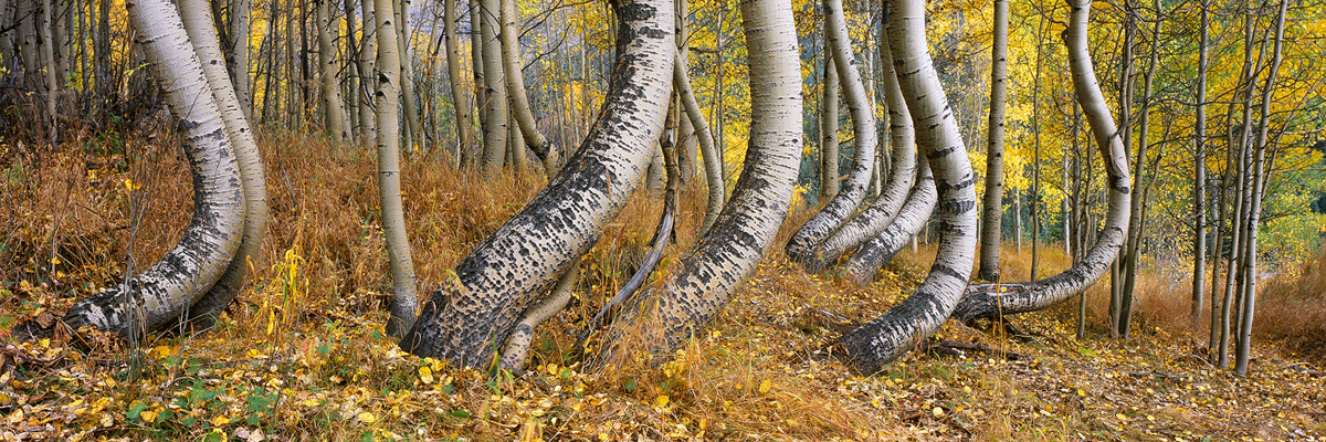 Metering for any scene should be a breeze and take up very little time from your workflow.