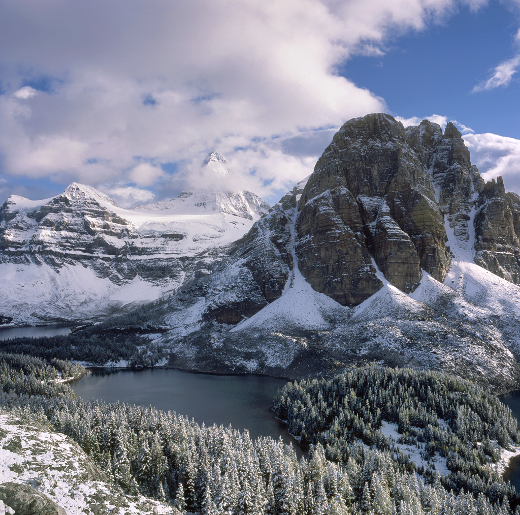 "Assiniboine Snow" - Amy and I woke up to a half foot of snow while backpacking in the Canadian Rockies. The late afternoon light that day was wonderful. Prints available.