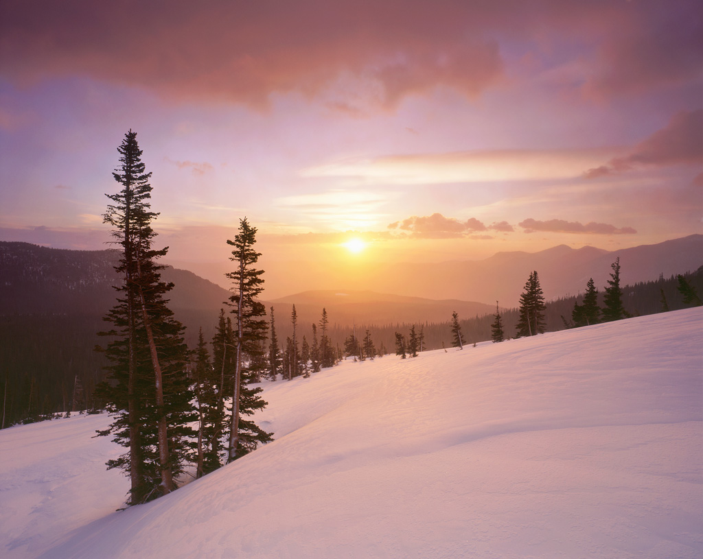"Winter's Warm Glow" - Snow falls lightly at sunrise on my favorite mountain slope, creating a warm glow from the rising sun before the storm moved in and started a blizzard. Prints Available.