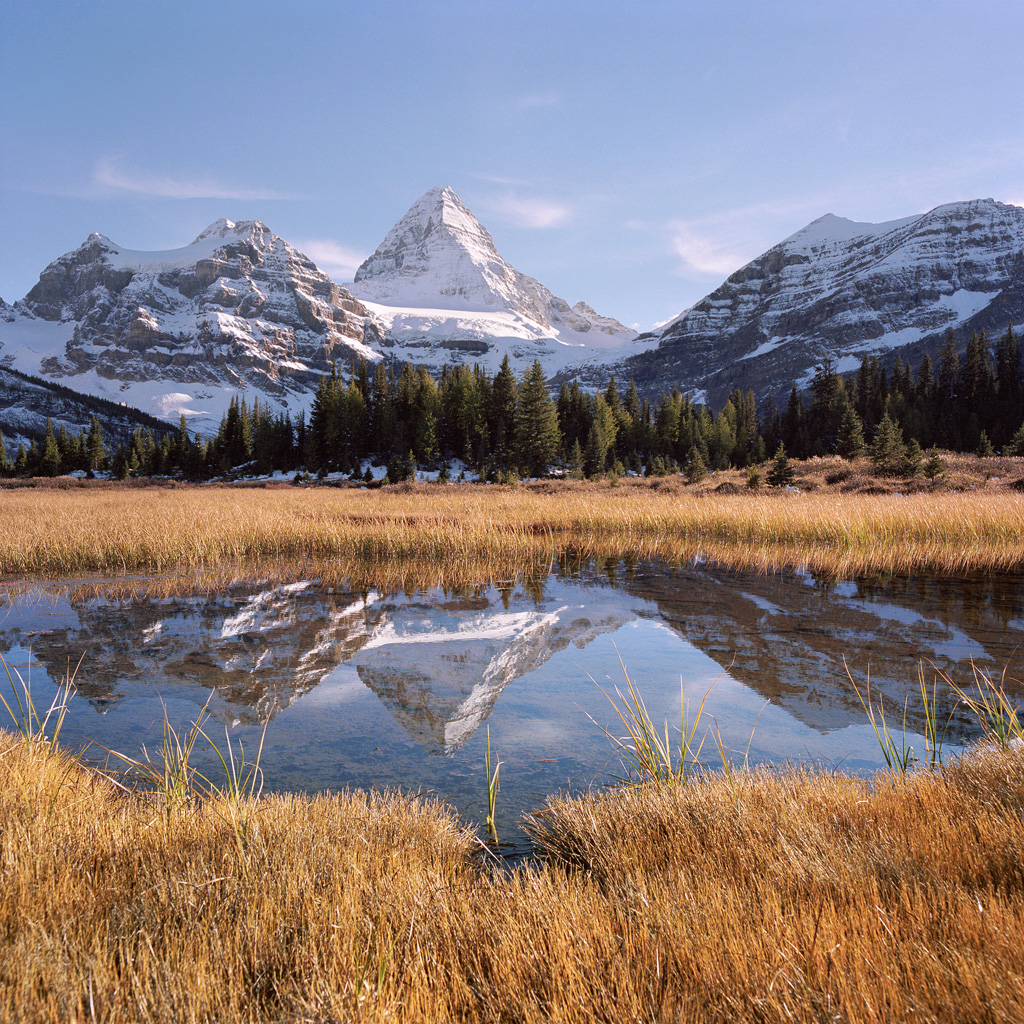 "Alpine Wonder" - A few days after the snowstorm, the high peaks of Assiniboine were still covered in deep snow but the lower ponds were pleasant to kick back and enjoy an afternoon. Prints Available.