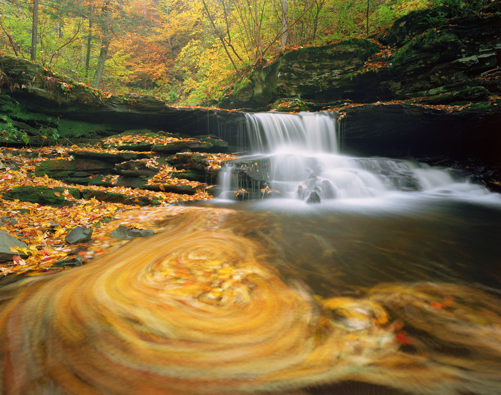 "Autumn in Motion" - Leaves swirl about near a waterfall in Ricketts Glen State Park, Pennsylvania. Prints Available.