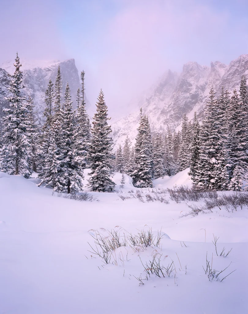 Winter Calm