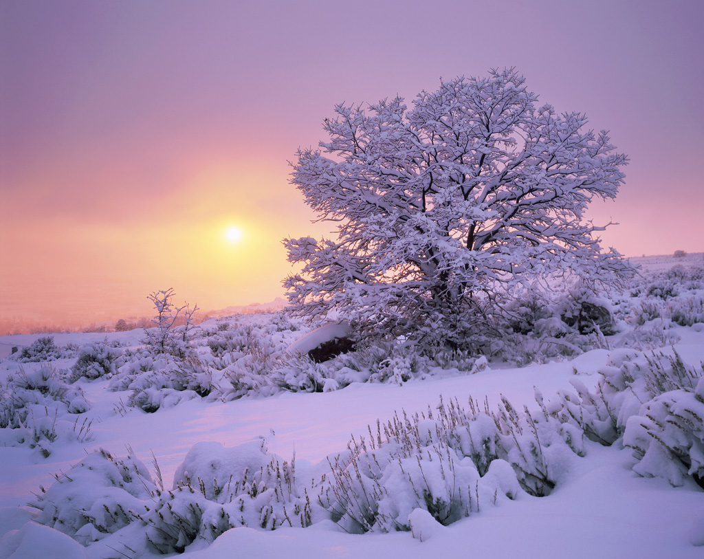Sunset through the Winter Storm