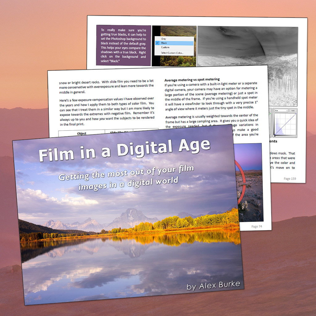 Sample pages from Film in a Digital Age