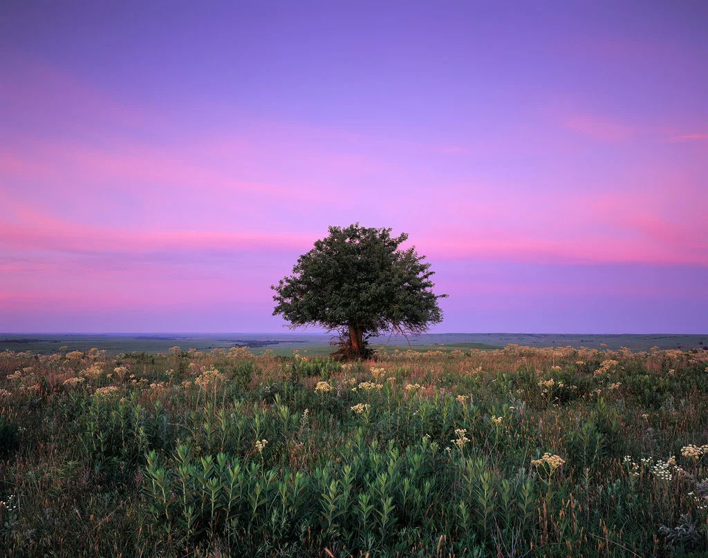 Solitude at Sunrise