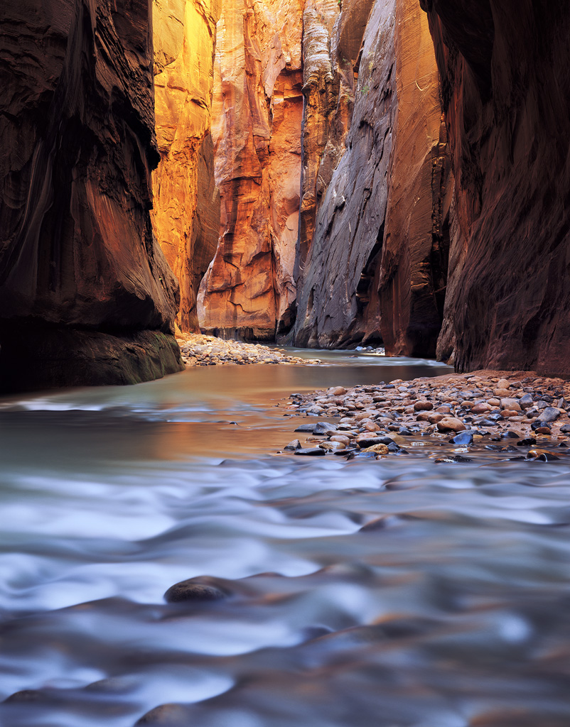 "Golden Glow" - Deep in the Virgin River Narrows, reflected light causes the towering canyon walls to glow for just a few moments. Prints available.