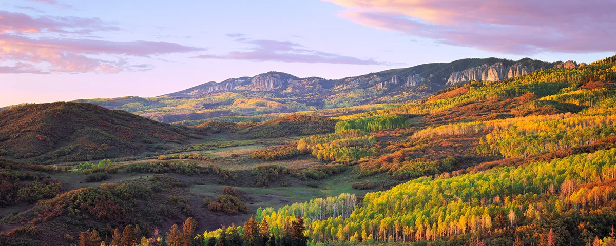 Owl Creek Aspen