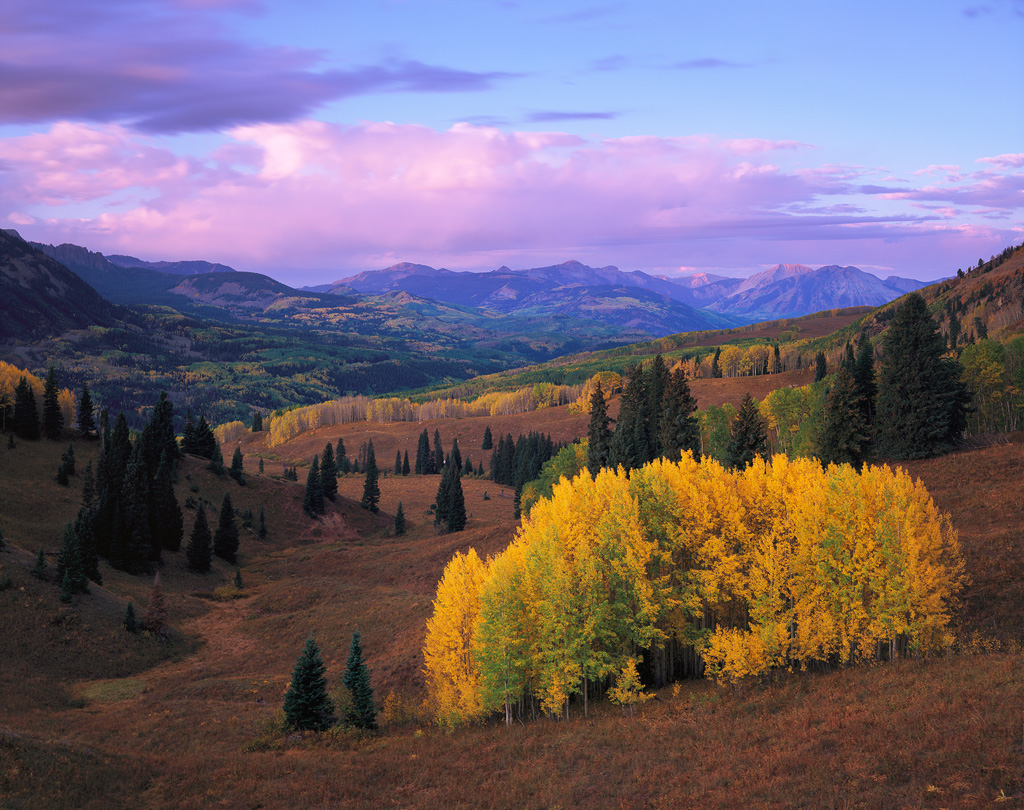 “West Elk Autumn” - Intrepid mk3 4x5, 135mm lens and Fuji Velvia 50. The light weight of this camera (just under 1kg!) makes it perfect for backpacking.