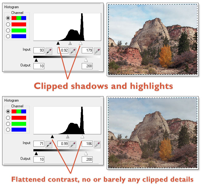 Epson Scan Levels Before and After