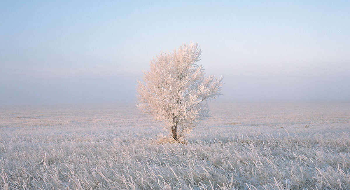 The Great Plains