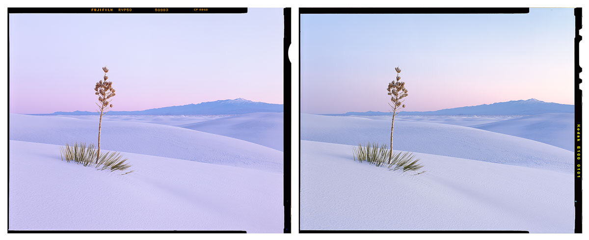 Slide Film vs Color Negative: Portra 160, Provia 100F & Velvia 100 - The  Slanted Lens