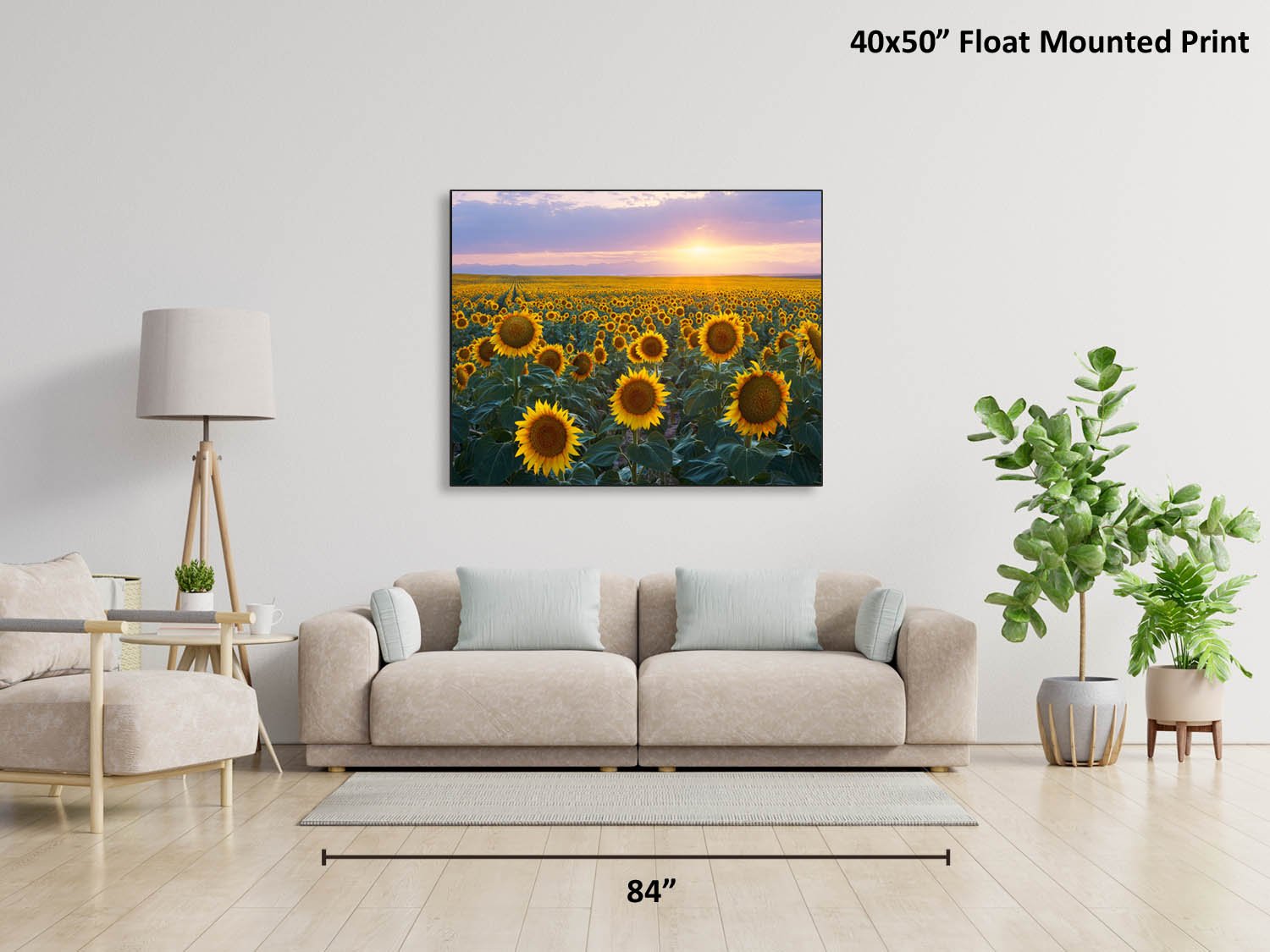 Sunflower Sunset — Alex Burke Photography
