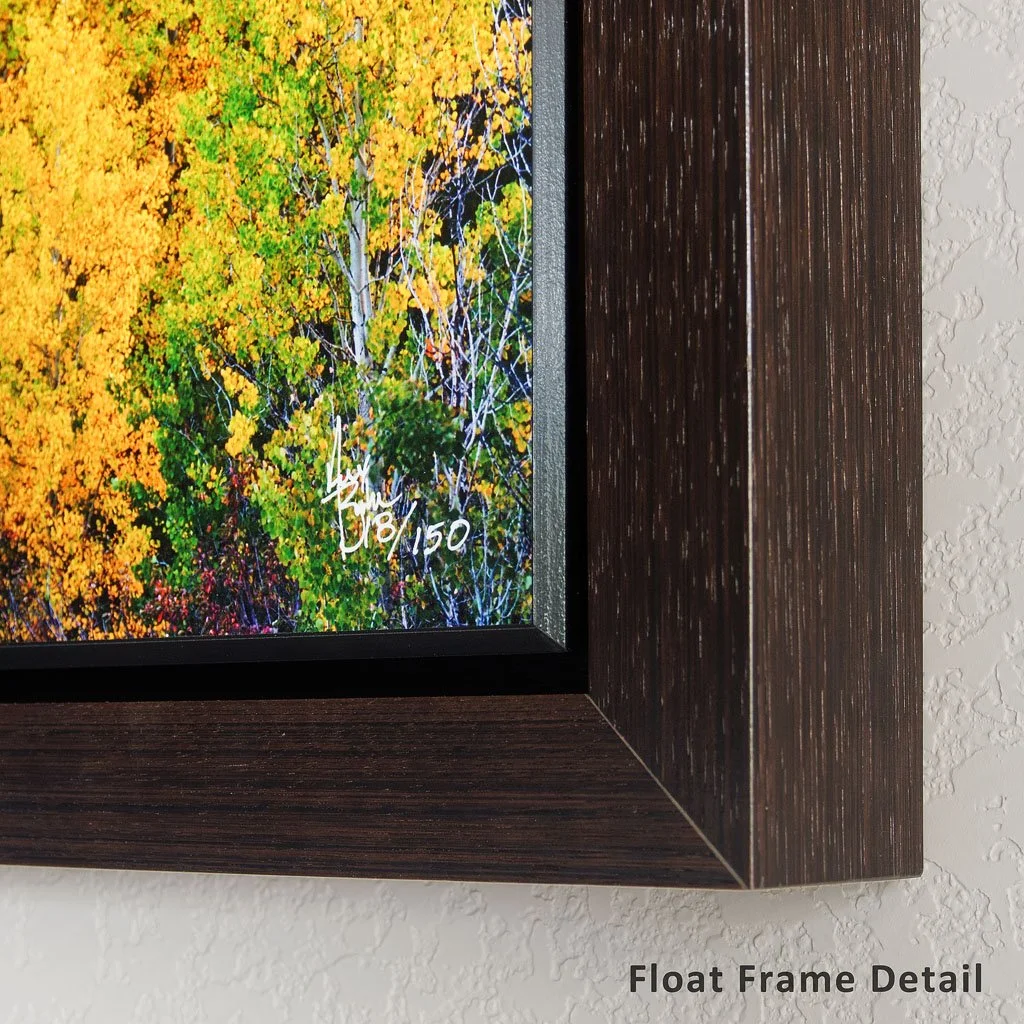 Float Frame Detail.jpg