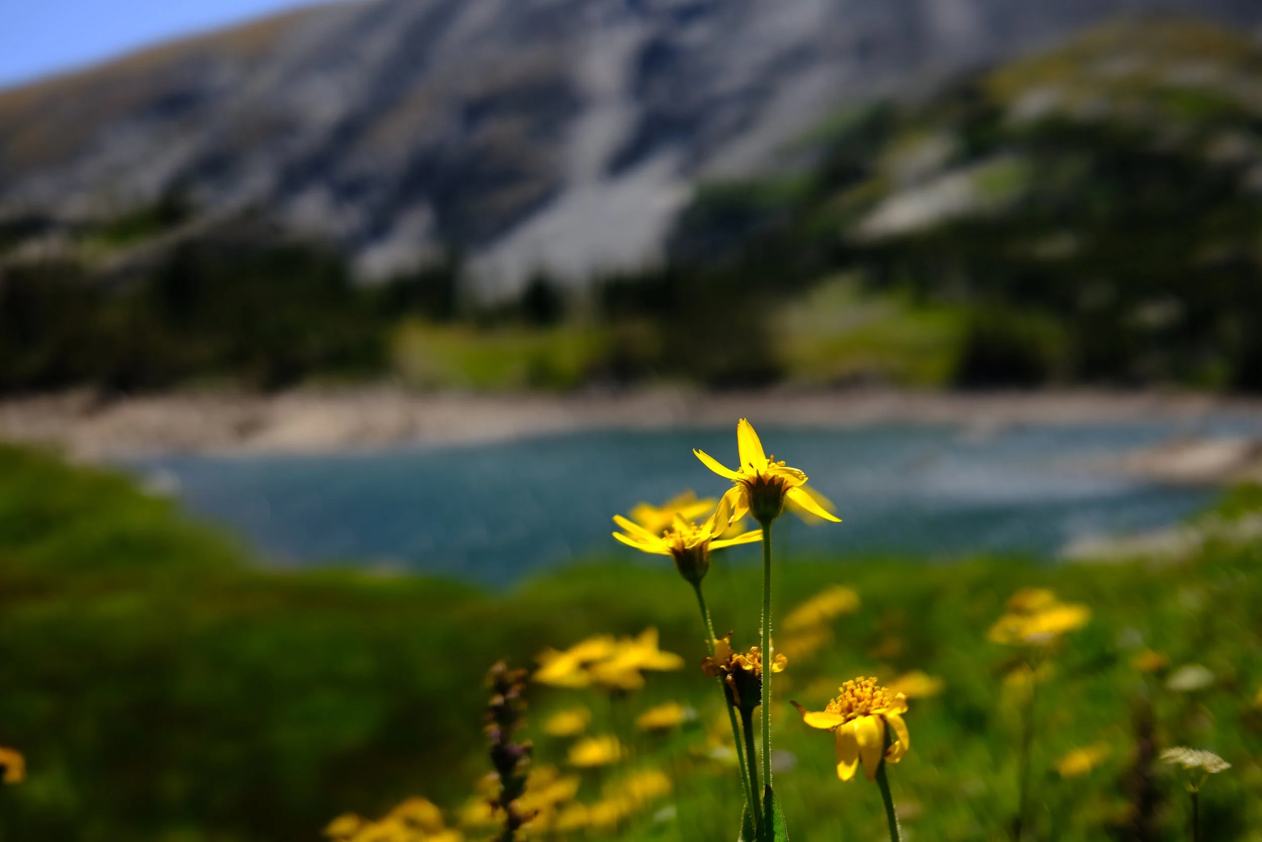 Indian Peaks Wilderness, Colorado 📷 August 2021
