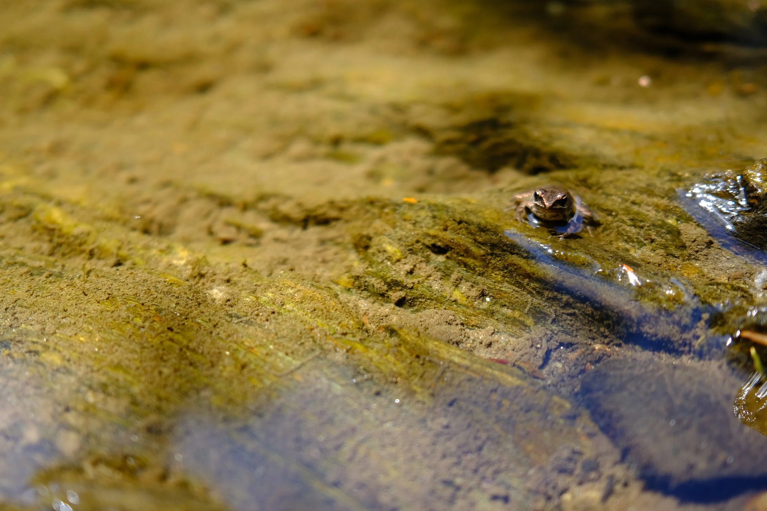 Vermont 📷 July 2021