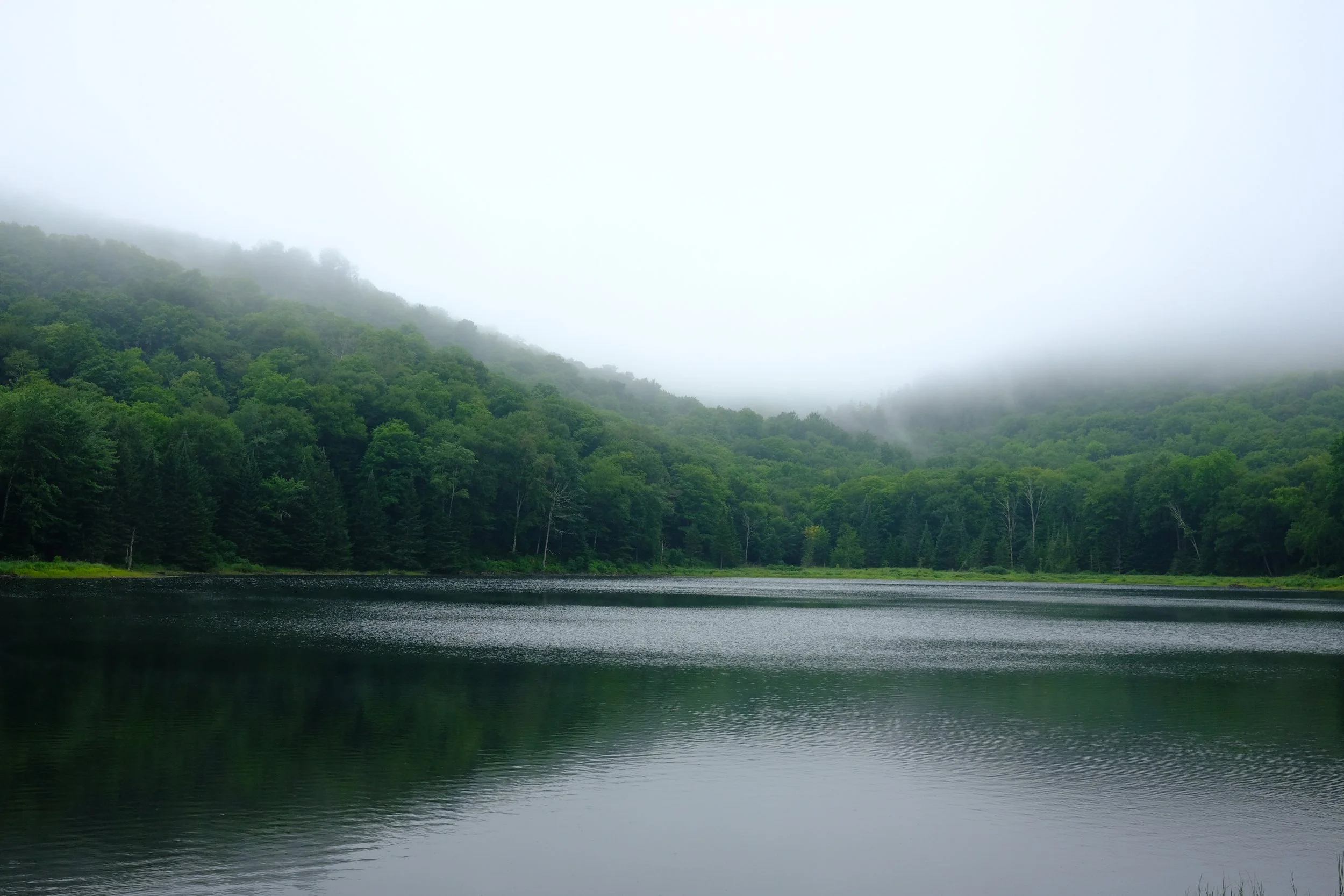 Vermont 📷 July 2021