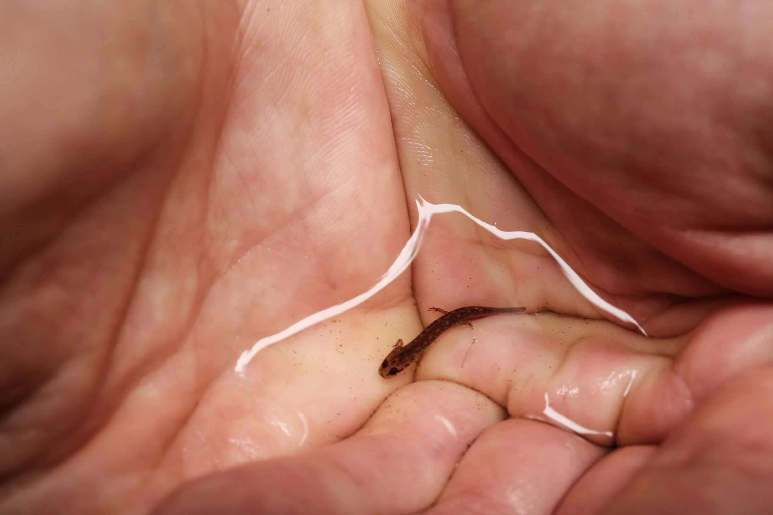 Vermont 📷 July 2021