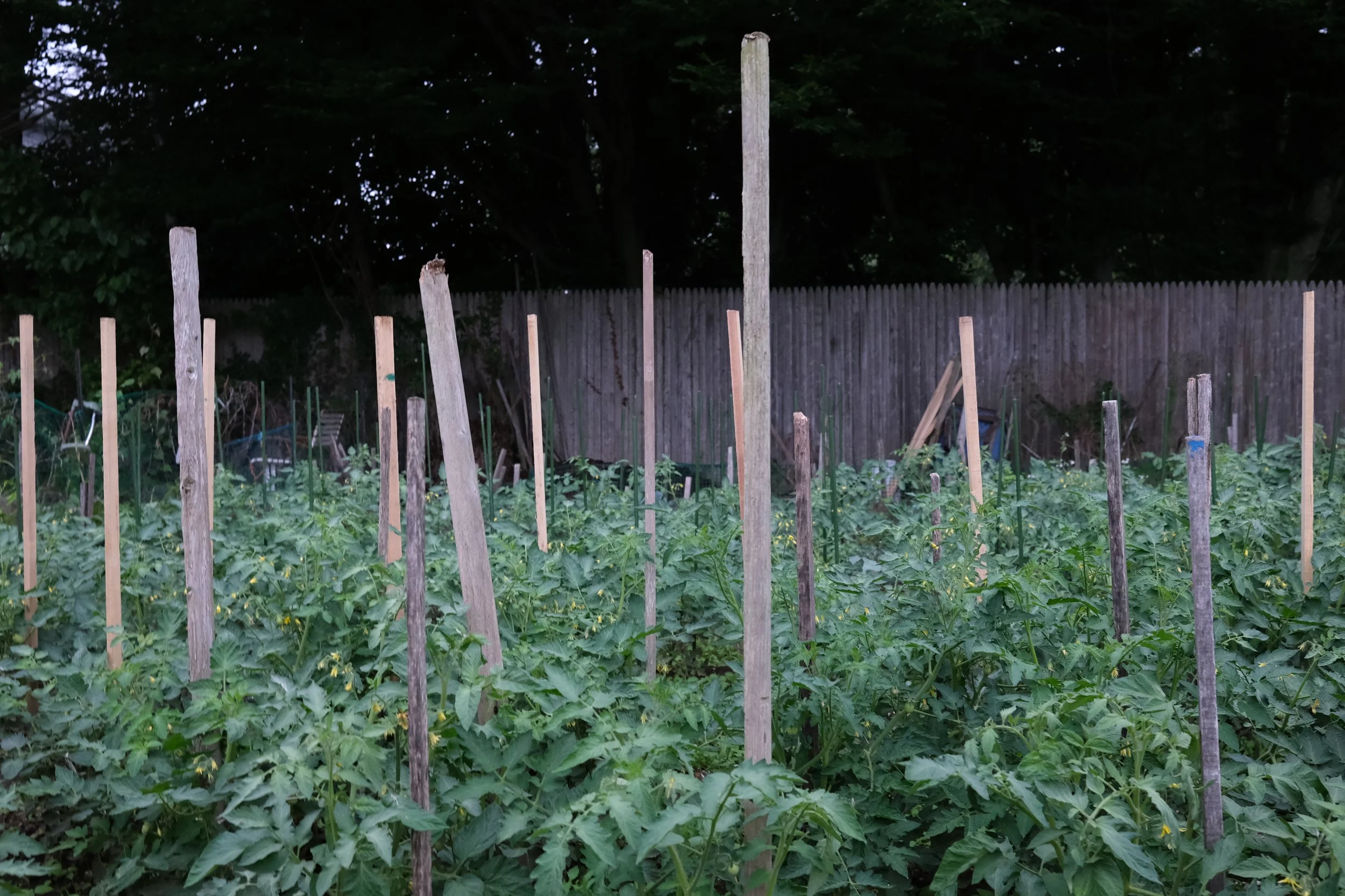 Long Island, New York 📷 July 2021