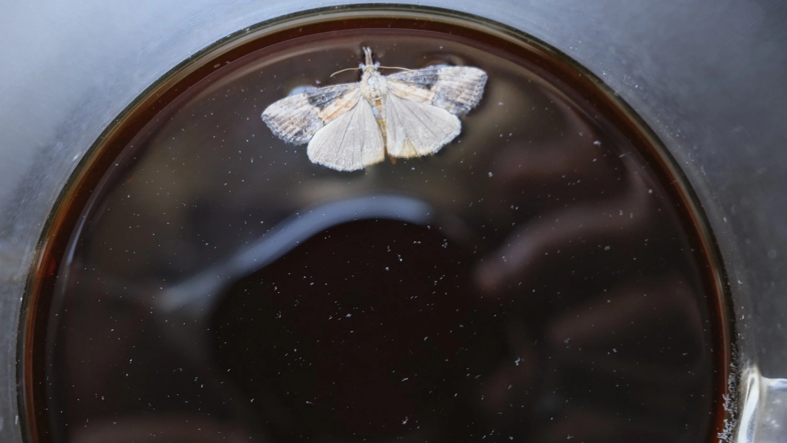 New York City 📷 July 2022