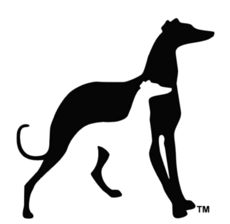 Greyhound Pets of America - Central New Hampshire Chapter