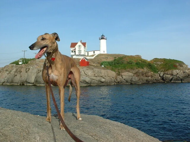 AUG172002 005.jpg