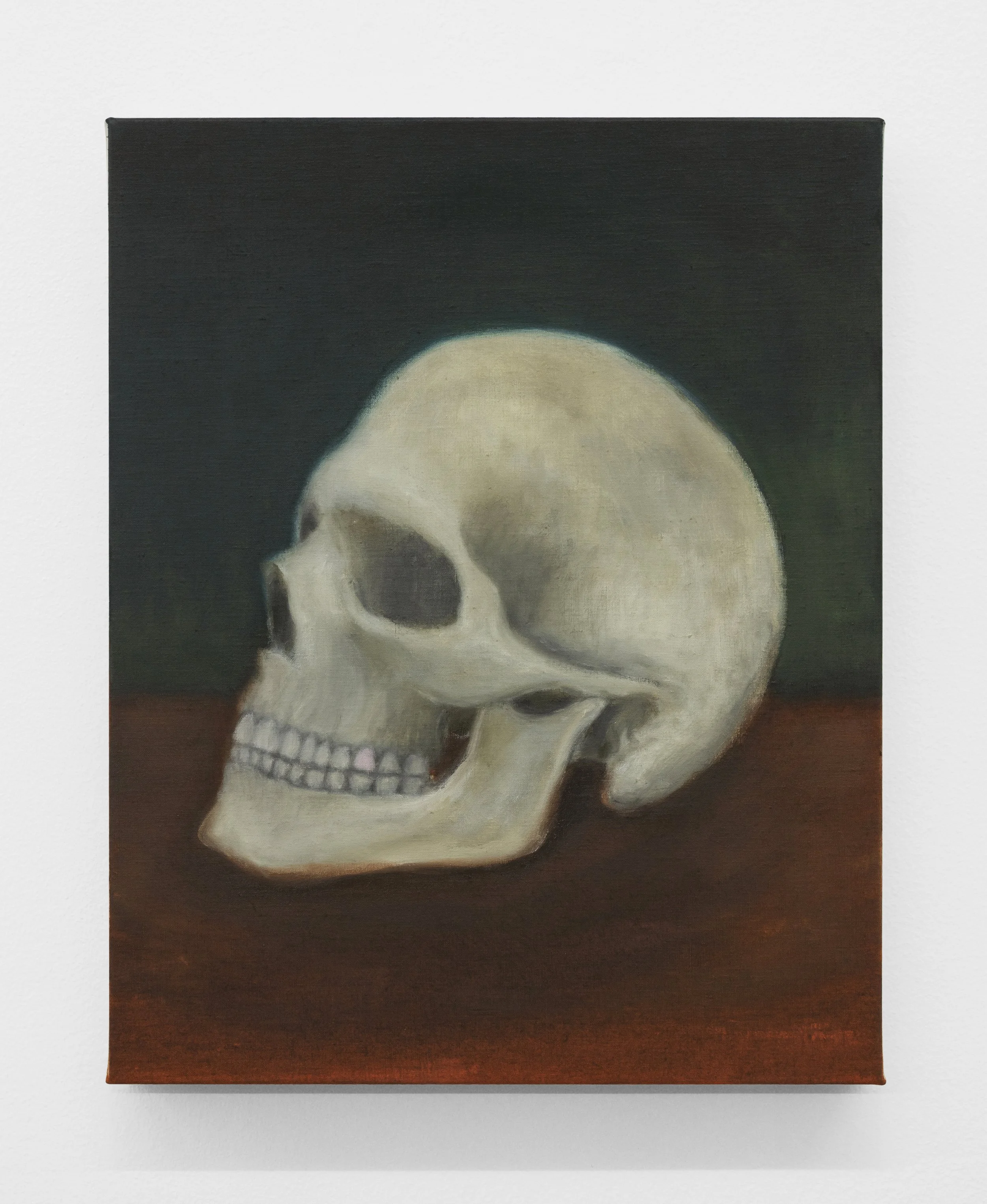  Kasper Sonne Skull 2026 Oil on linen 50 x 40 cm 19.68 x 15.74 in 