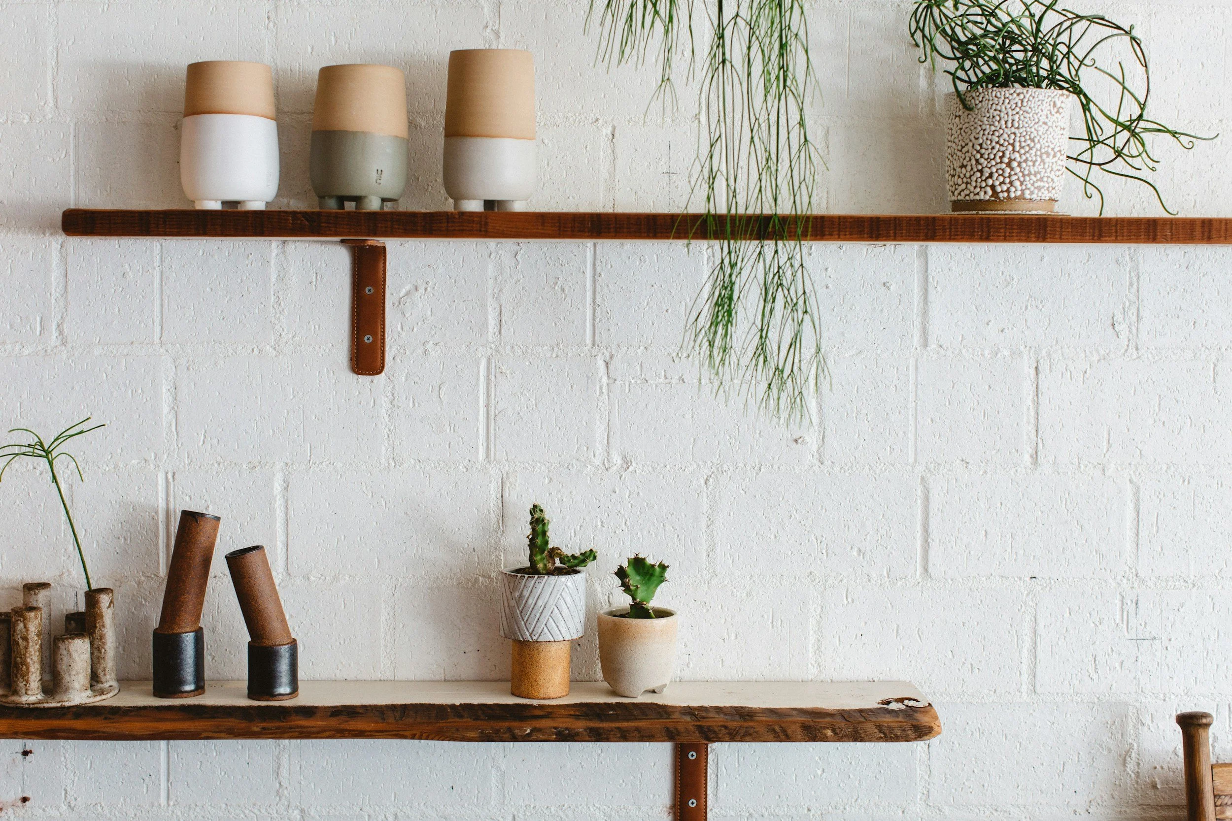 shelves with plants