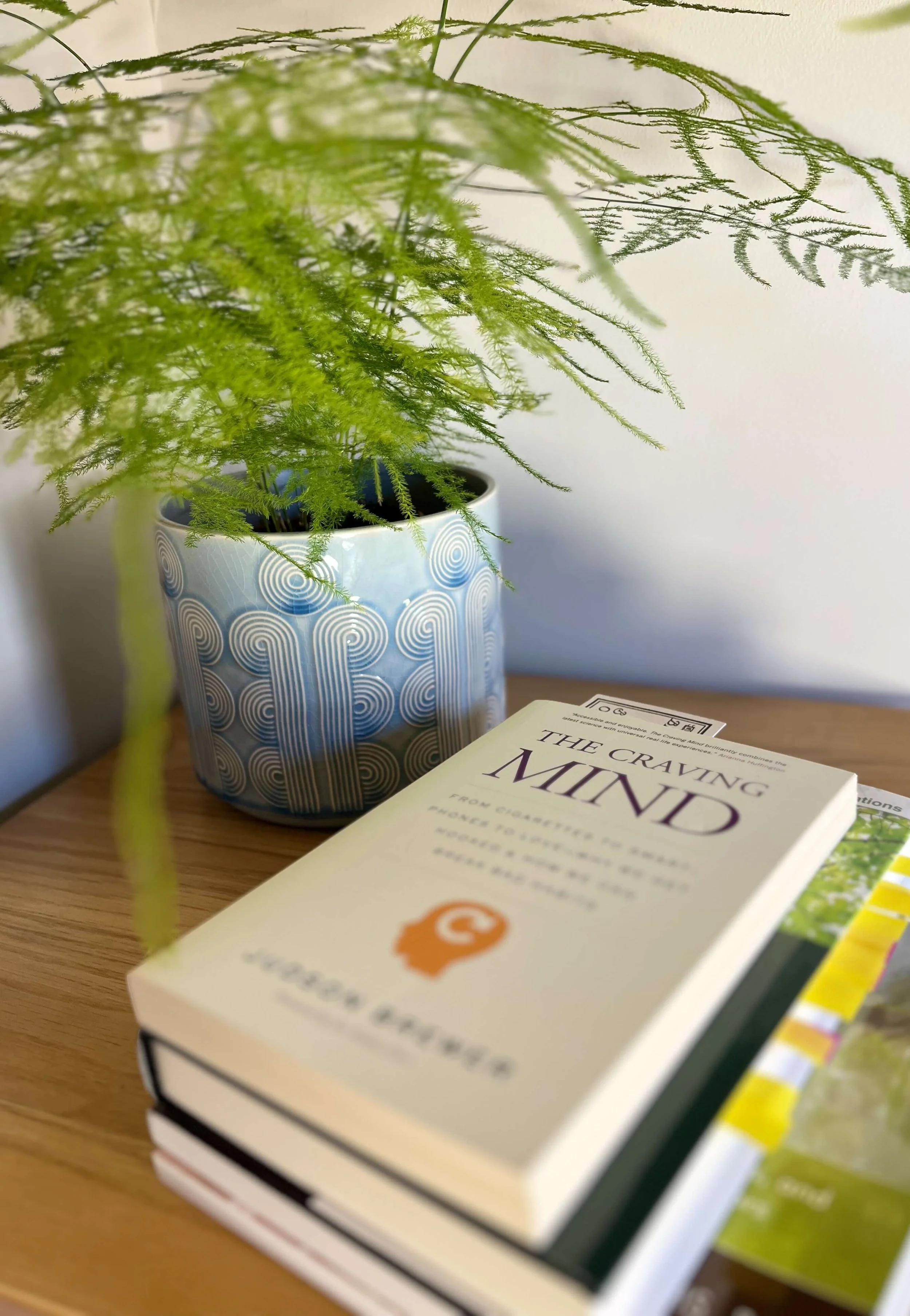 A book on cravings and addiction beside a calming fern plant — supporting the deeper work of gambling recovery