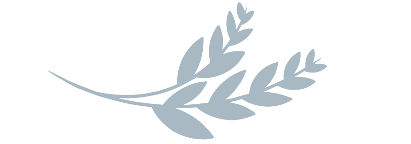 A minimalist illustration of a sprig of lavender with multiple leaves.