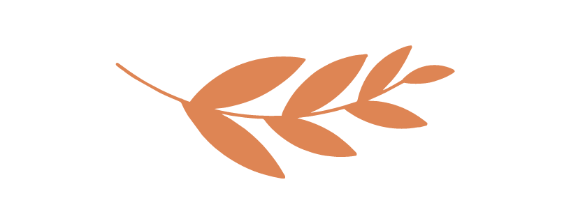 A black background with a stylized brownish-orange leaf graphic with multiple small leaves branching from a central stem.