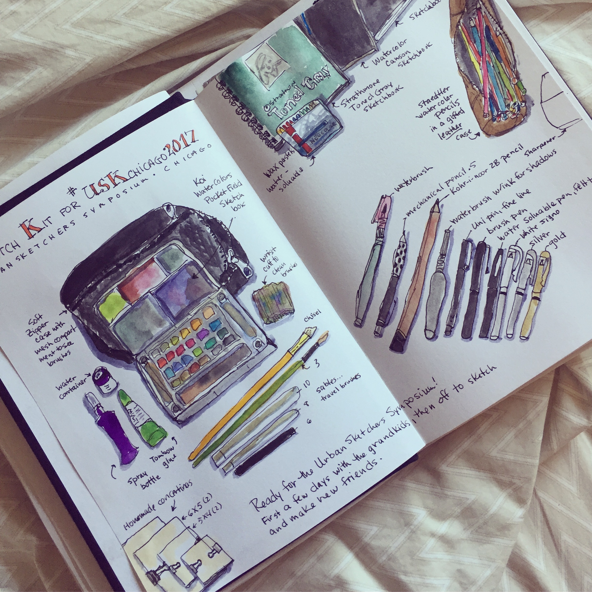 Paints, brushes, pens, sketchbooks ready to go.