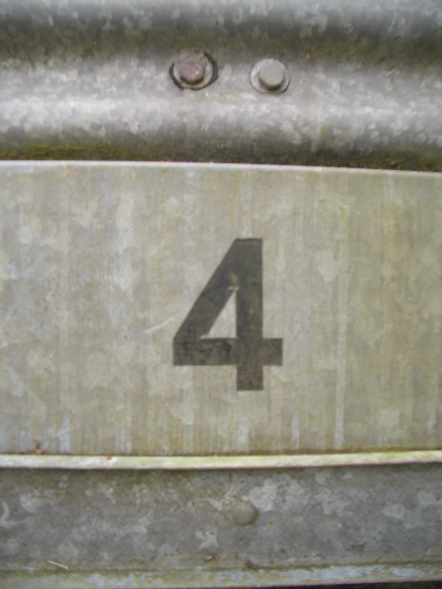 IMGP4622.JPG