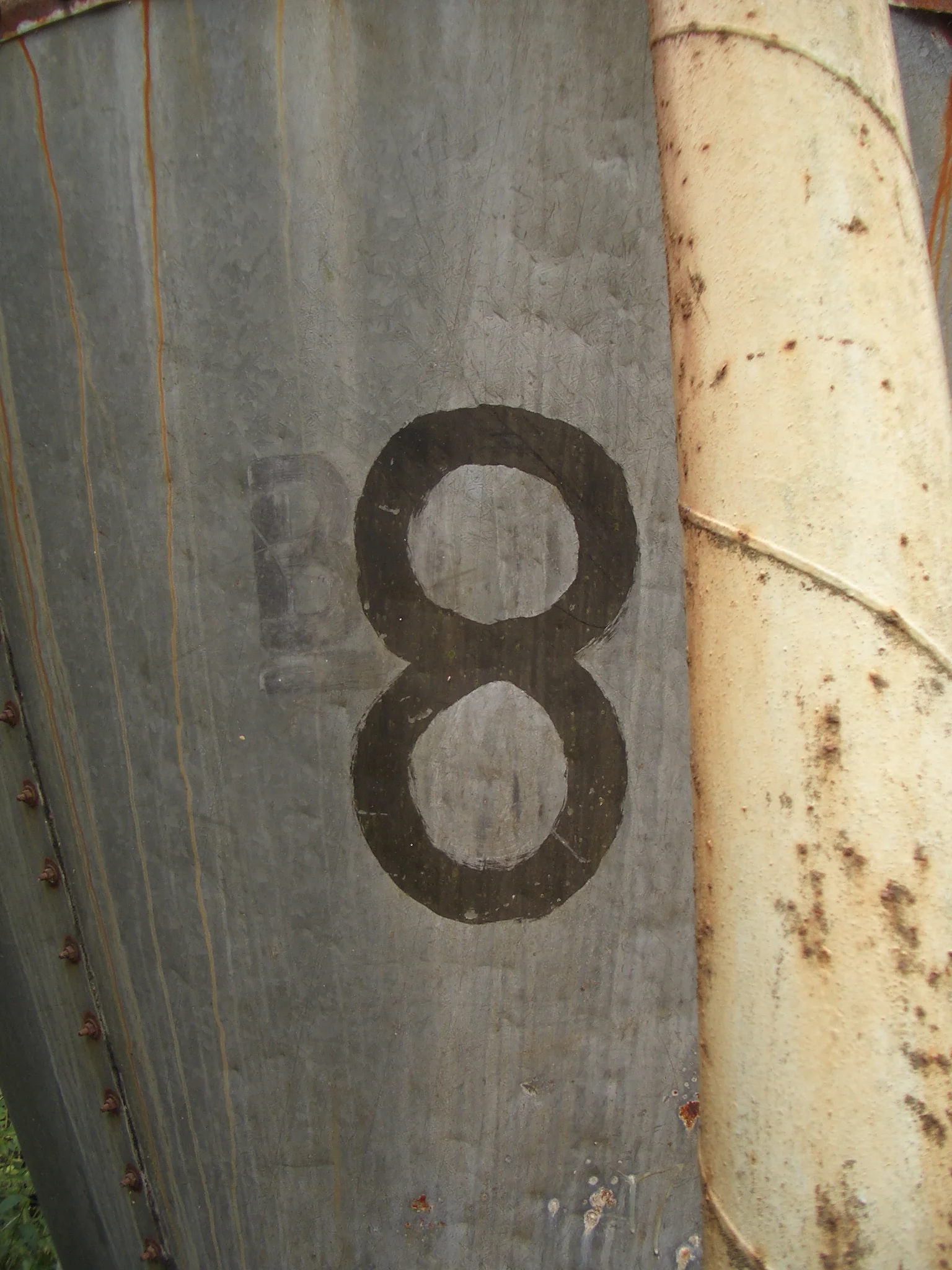 IMGP4624.JPG
