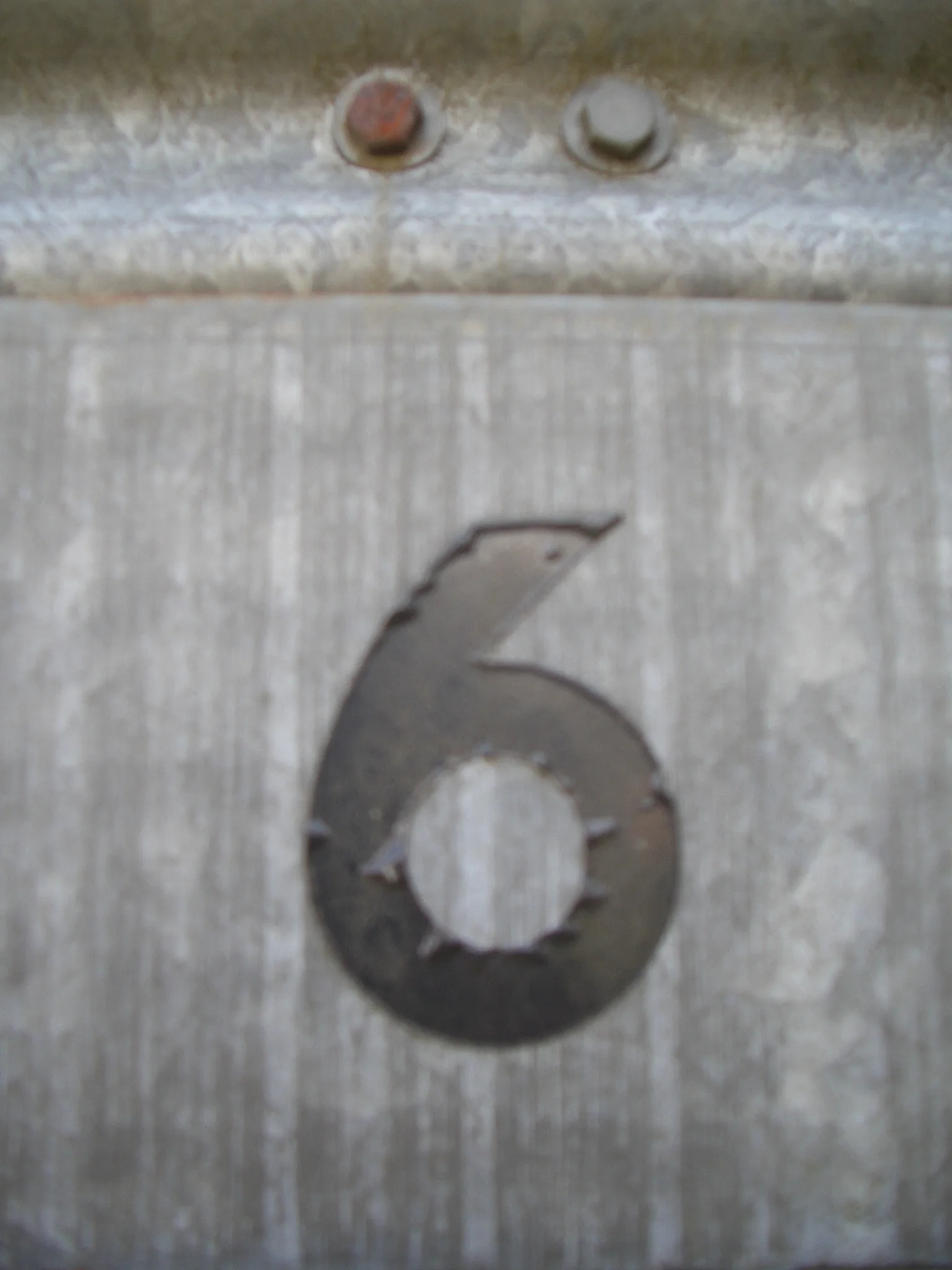 IMGP4616.JPG