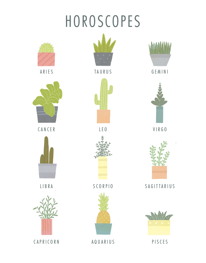 plants_illustration.jpg