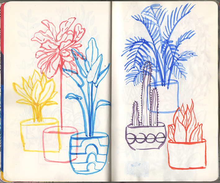 plants2_sketchbook.jpg