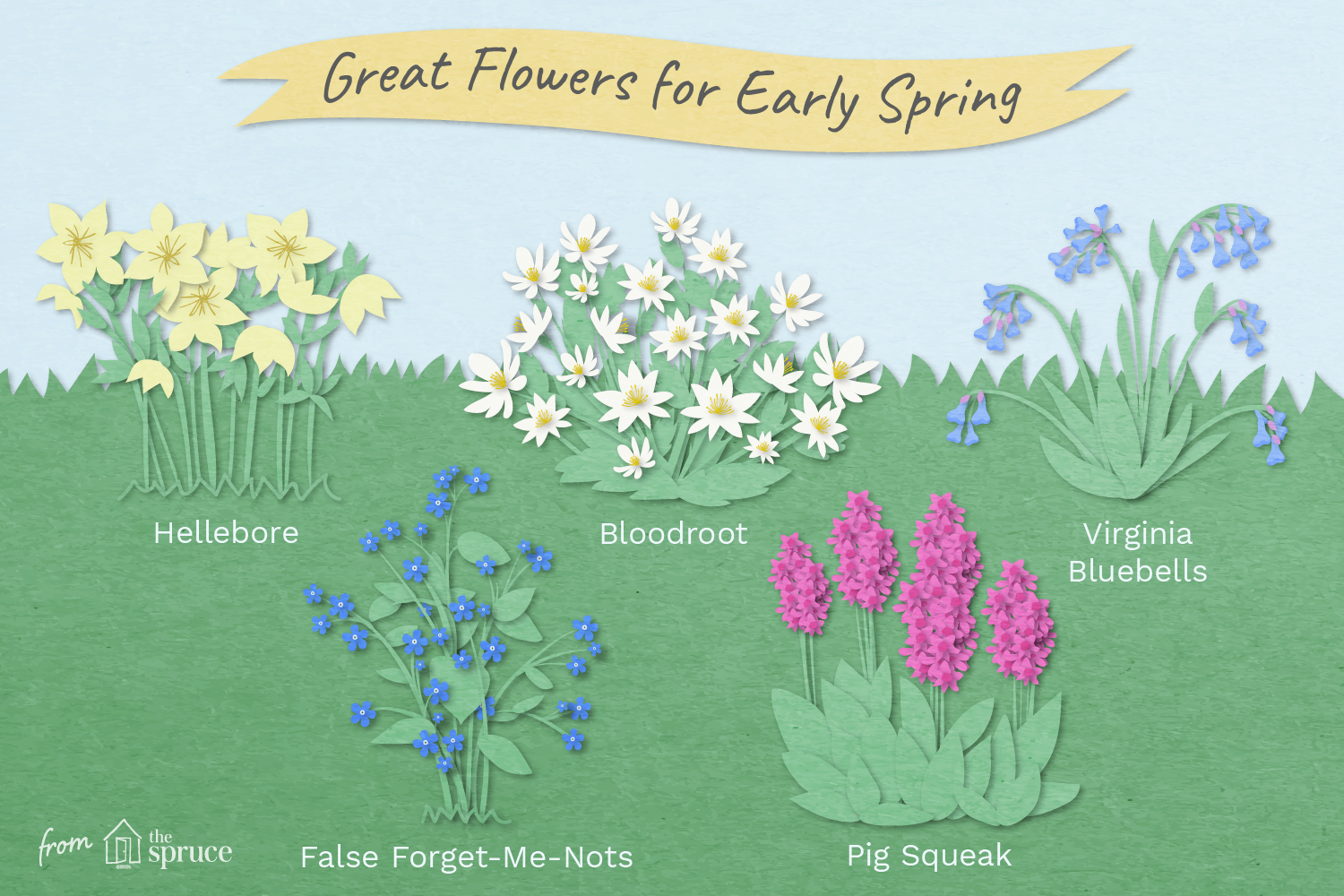 early-spring-flowers-3572236_final-01.png