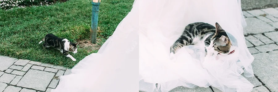 louisville wedding photographer-15.jpg