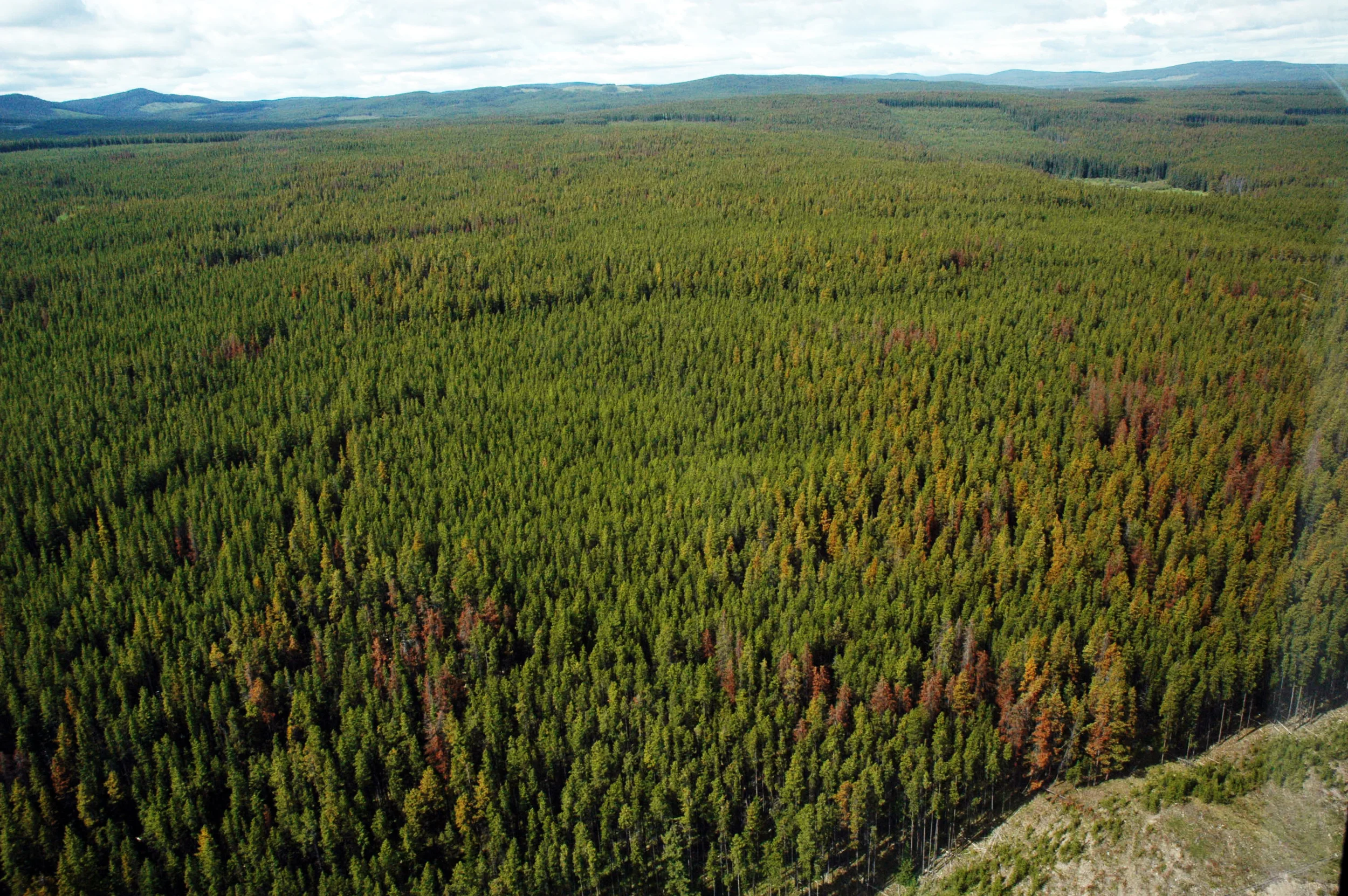 DSC_3454 Aerial.JPG