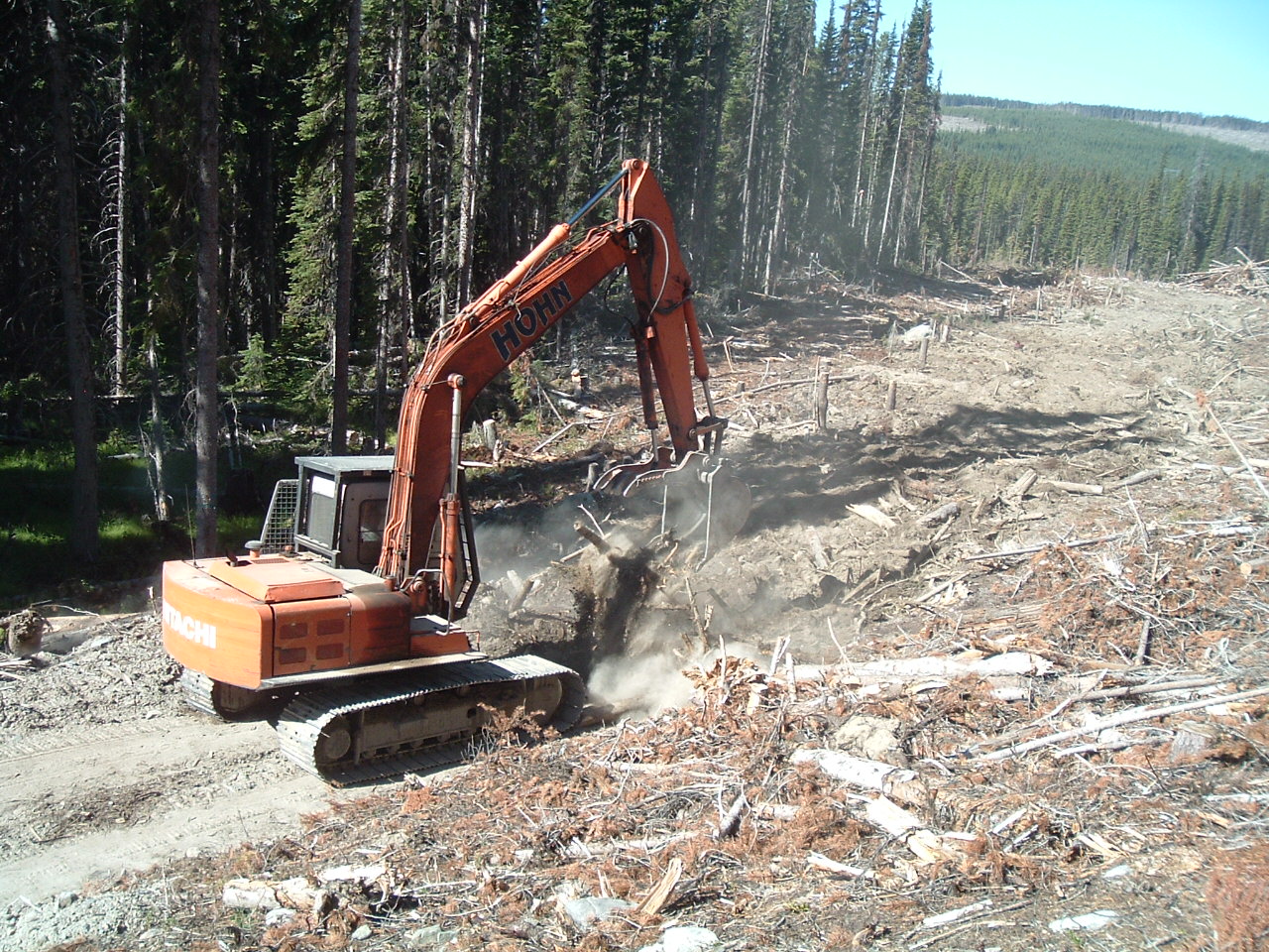 DSCF5608.JPG