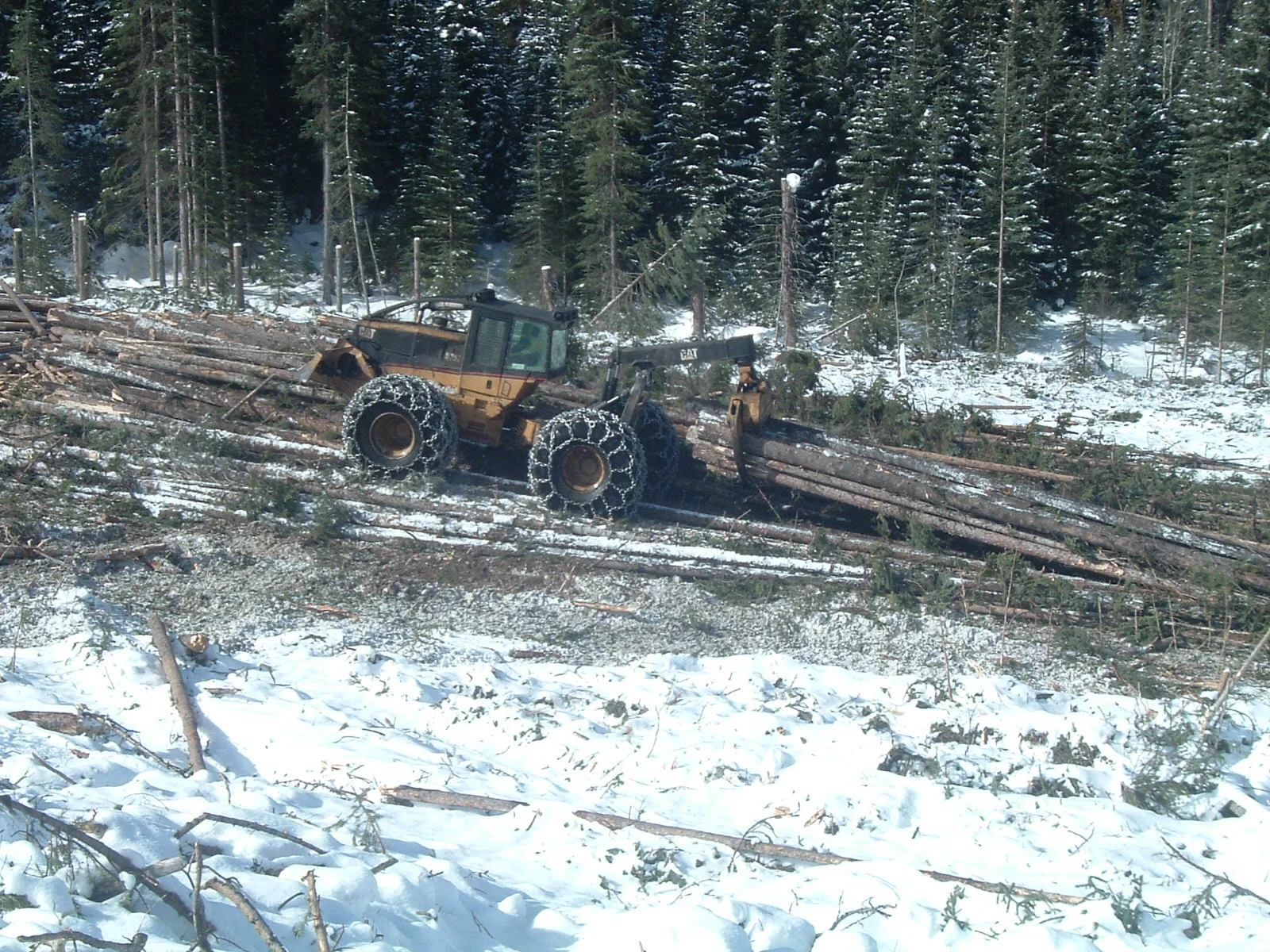 skidder - 2013.jpg