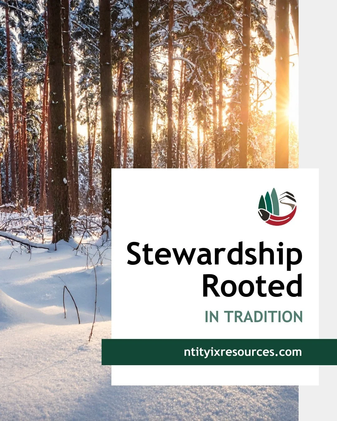 The land and forests we work on are more than resources. They are part of who we are.

At Ntityix Resources, our work is guided by the deep relationship between Westbank First Nation and these lands. That responsibility shapes how we plan, manage, an
