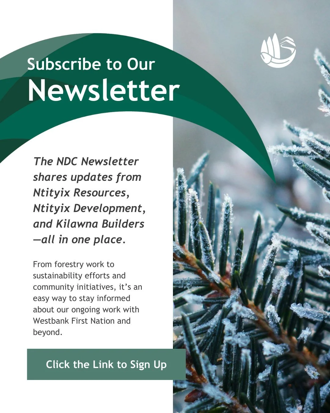 Want to stay connected to what&rsquo;s happening across our organizations?

The NDC Newsletter shares updates from Ntityix Resources, Ntityix Development, and Kilawna Builders&mdash;all in one place. From forestry work to sustainability efforts and c