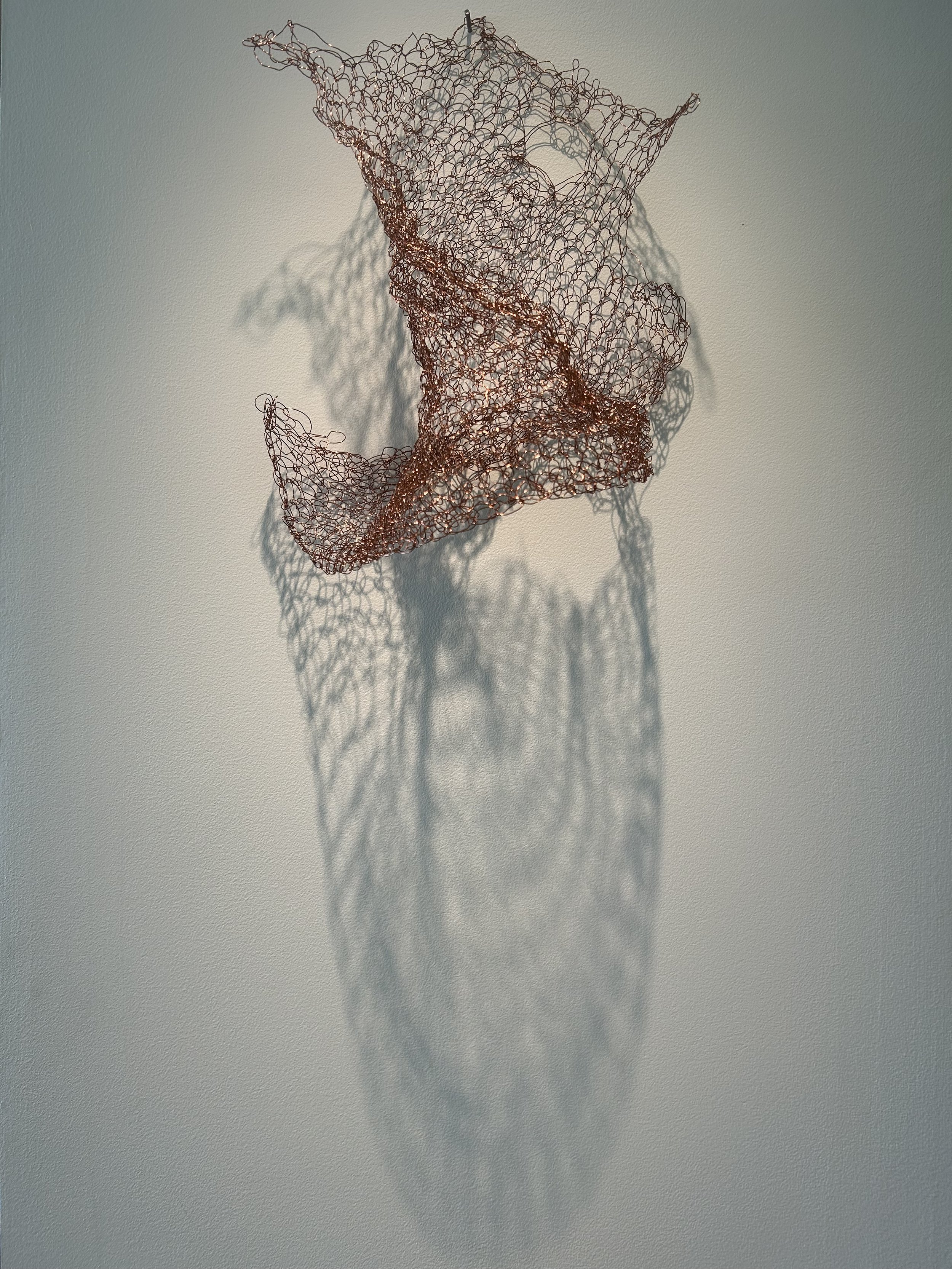   untitled     knitted wire 11”x14’’ 