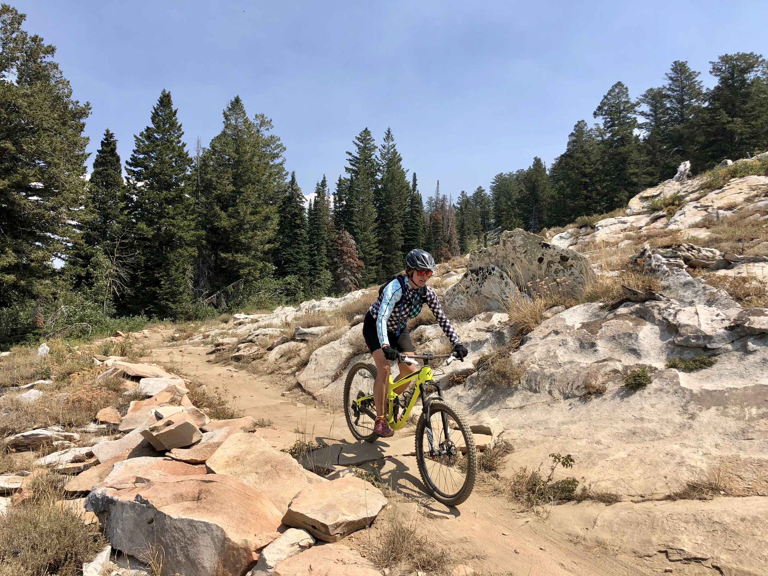 Biking Trails and Mountain Biking