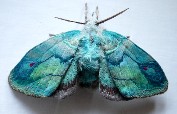 Many thanks to Yumi for allowing us to use her stunning photographs