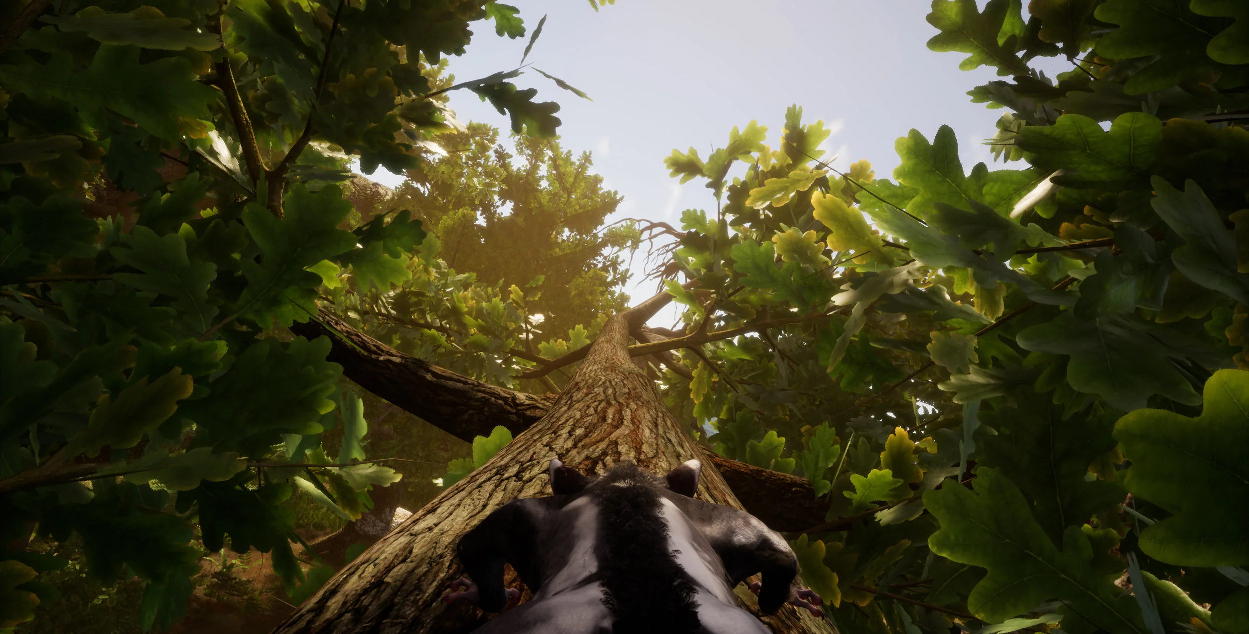 AwayScreenshot9.jpg