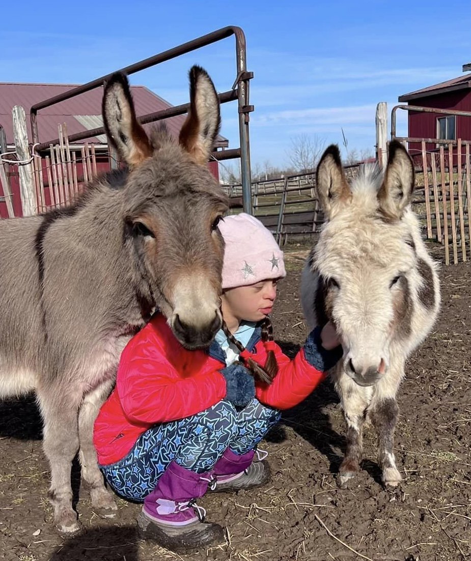 Val and Millie the miniature-donkeys (endangered)