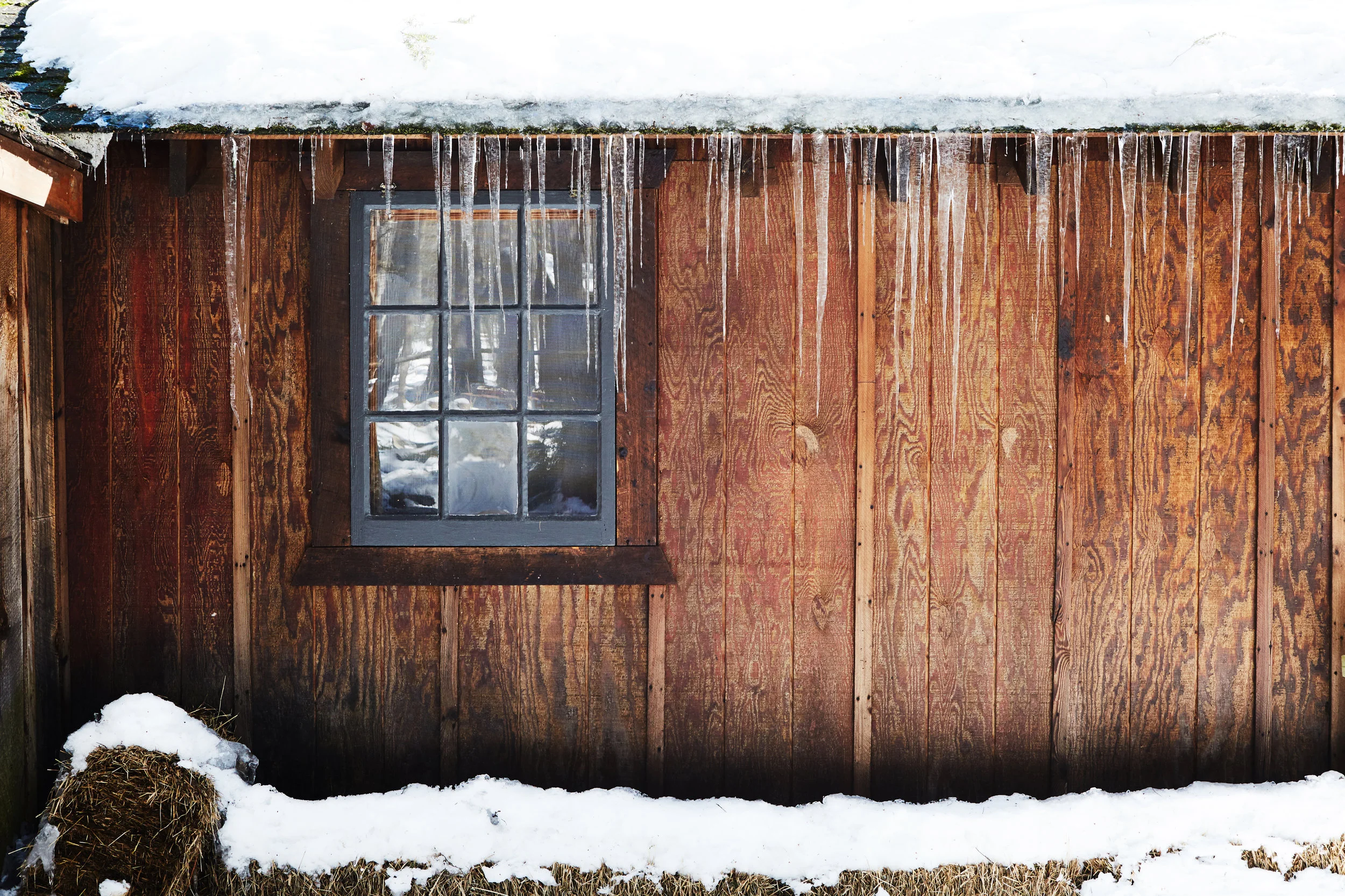 031818_Maple_Syrup©nataliechitwood_484.jpg