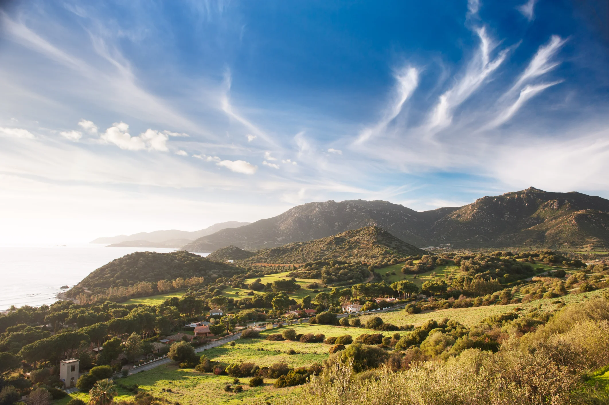 Photo by Stefano Garau/iStock / Getty Images